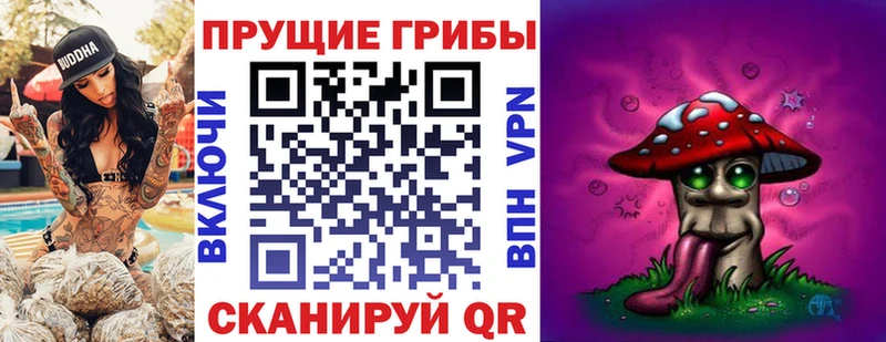 как найти наркотики  ОМГ ОМГ ТОР  Галлюциногенные грибы мицелий  Семикаракорск 